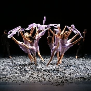 Danse contemporaine